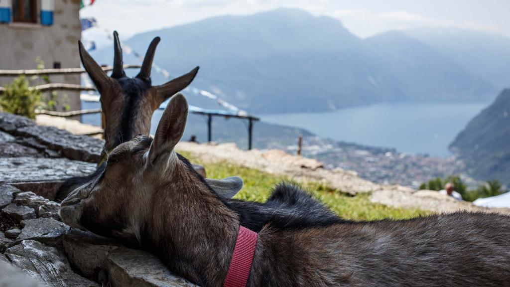 A piedi nella terra di mezzo